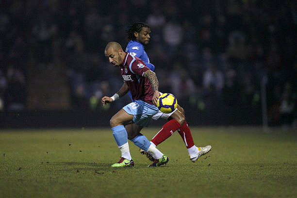 这种多样性 这种多样性